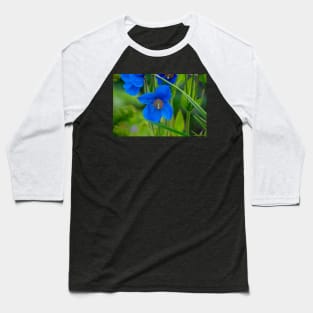 Blue Poppy Flower Elegance Baseball T-Shirt